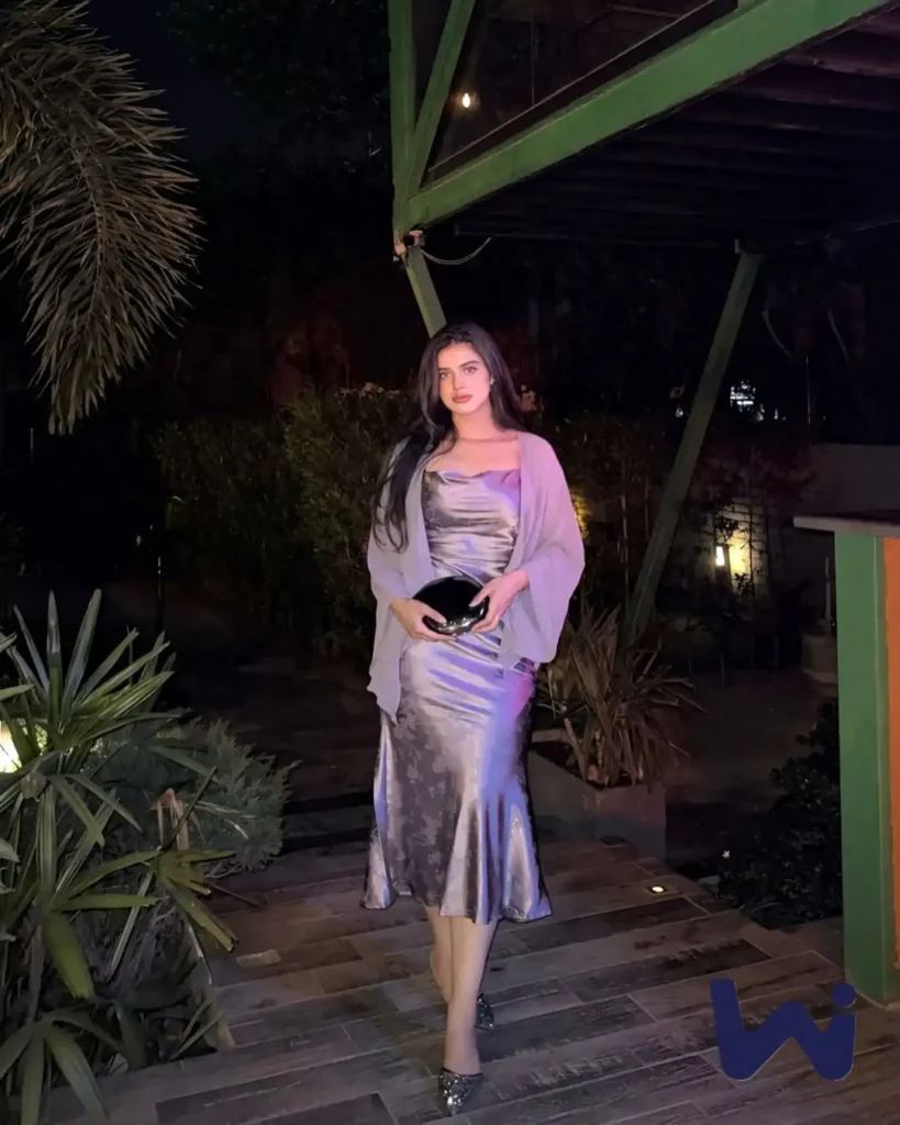 Alina Amir