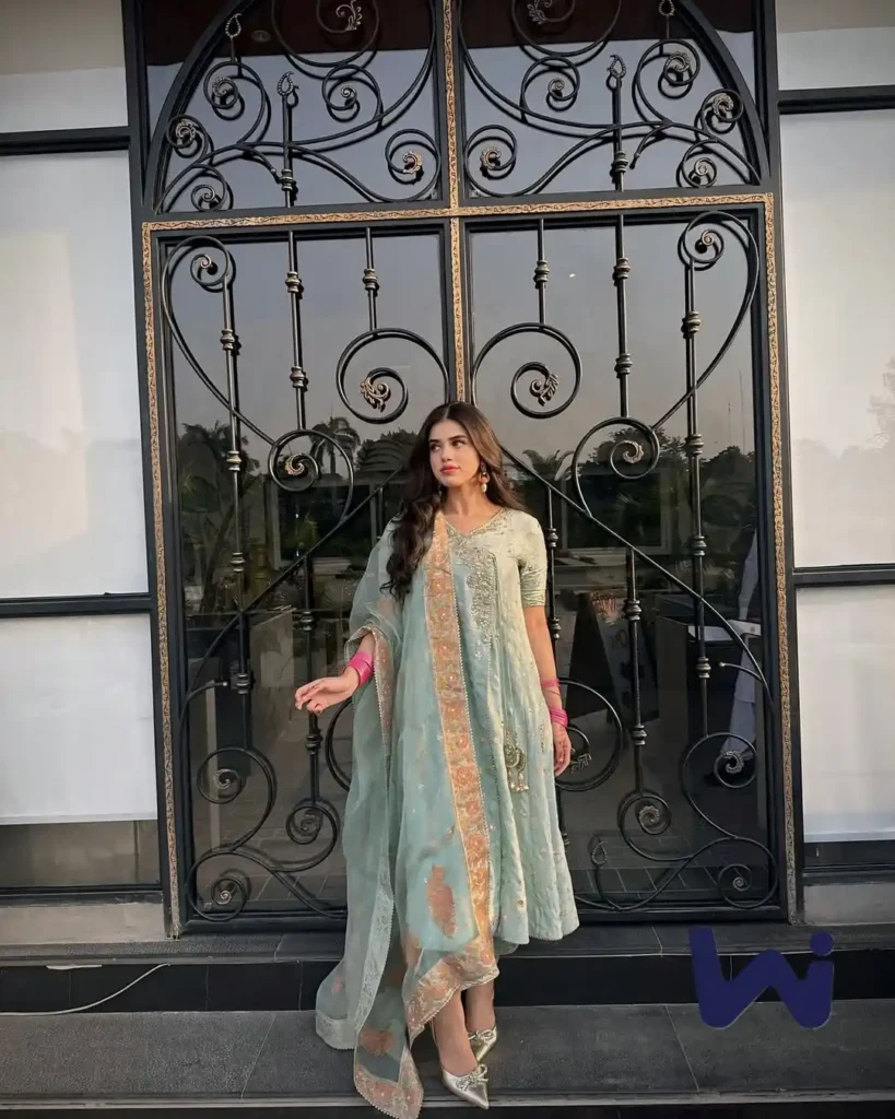 Alina Amir Viral Videos