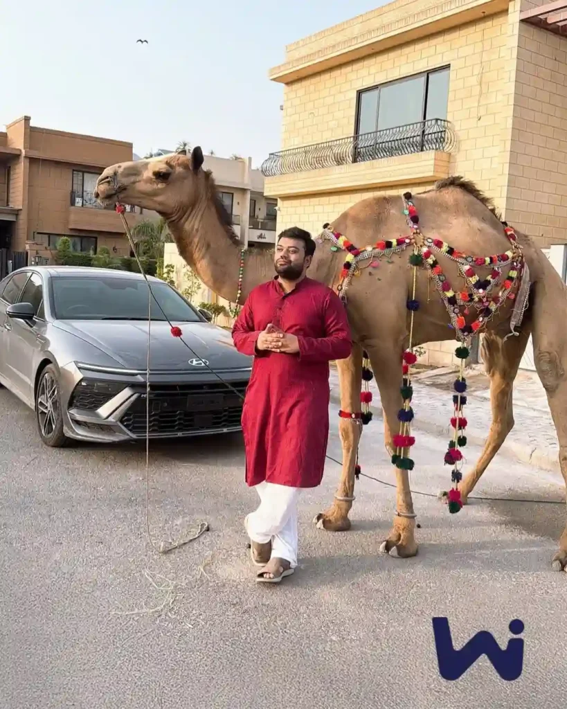 Ducky Bhai