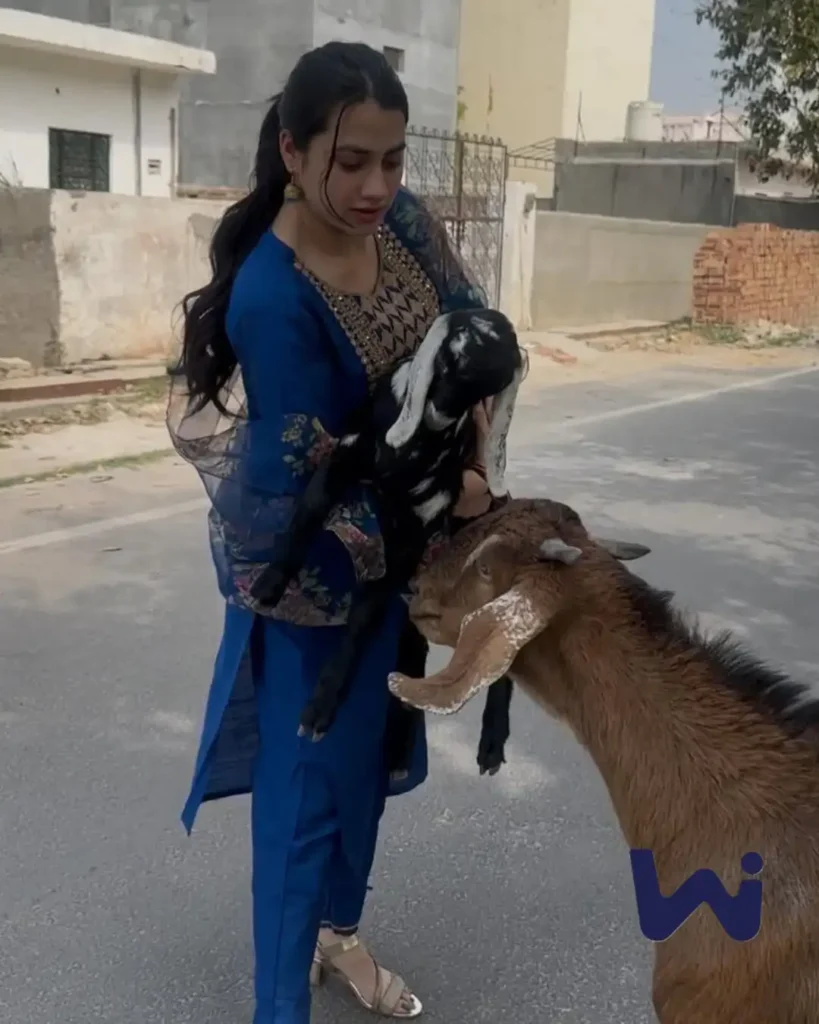 Vanshika Chaudhary Biography